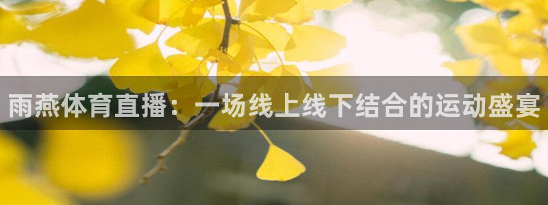 雨燕比赛直播：雨燕体育直播：一场线上线下结合的运动盛宴