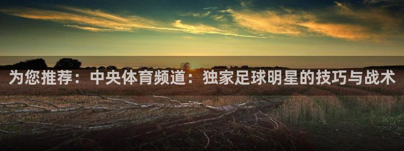 雨燕足球在线直播免费：为您推荐：中央体育频道：独家足球明星的技巧与战术