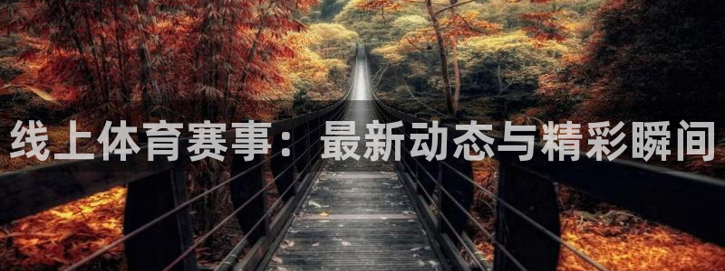 360体育足球雨燕直播：线上体育赛事：最新动态与精彩瞬间