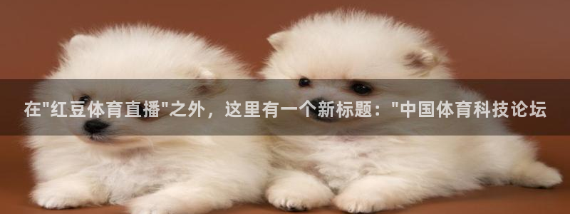 nba直播雨燕：在\