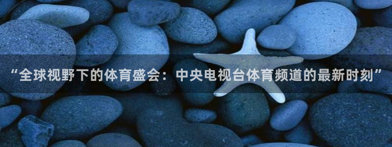 360直播足球直播雨燕足球直播：“全球视野下的体育盛会：中央电视台体育频道的最新时刻”