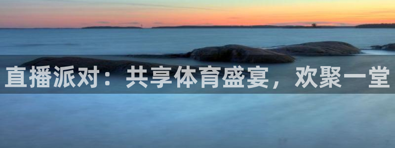 雨燕直播看球：直播派对：共享体育盛宴，欢聚一堂