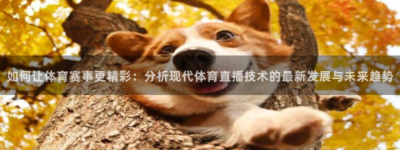 雨燕nba直播在线观看免费雨燕直播：如何让体育赛事更精彩：分析现代体育直播技术的最新发展与未来趋势
