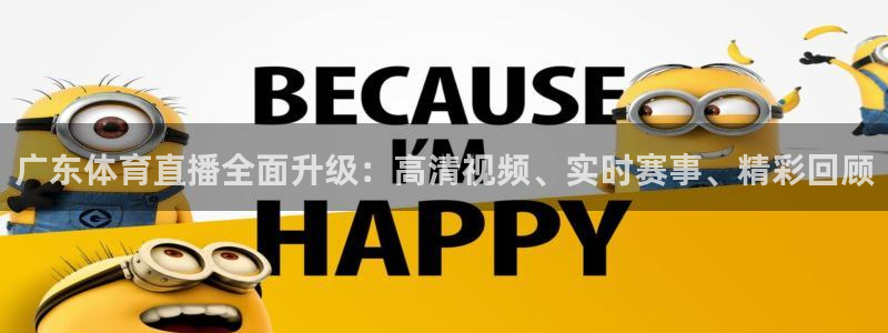 雨燕足球比赛直播平台：广东体育直播全面升级：高清视频、实时赛事、精彩回顾