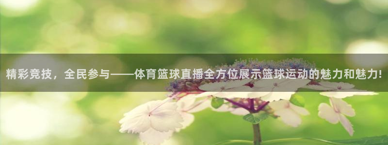 雨燕直播cba：精彩竞技，全民参与——体育篮球直播全方位展示篮球运动的魅力和魅力!